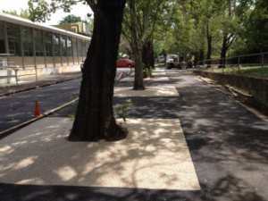 Permeable Paving ideas for Tree-Centric Gardens