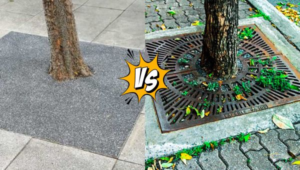 Permeable Tree Surrounds vs Tree pits